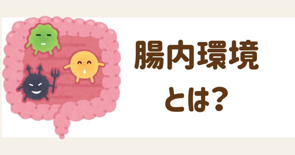 腸内環境とは