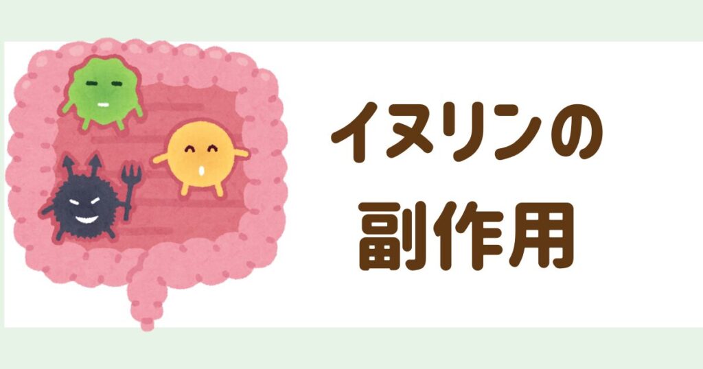 イヌリン副作用