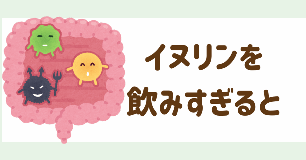 イヌリンを飲みすぎるとどうなる