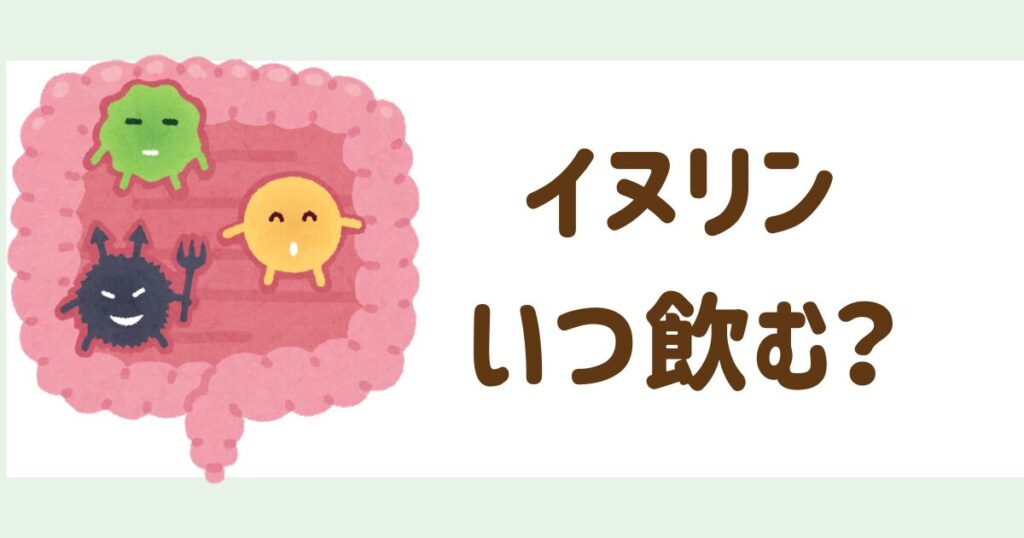 イヌリンいつ飲む