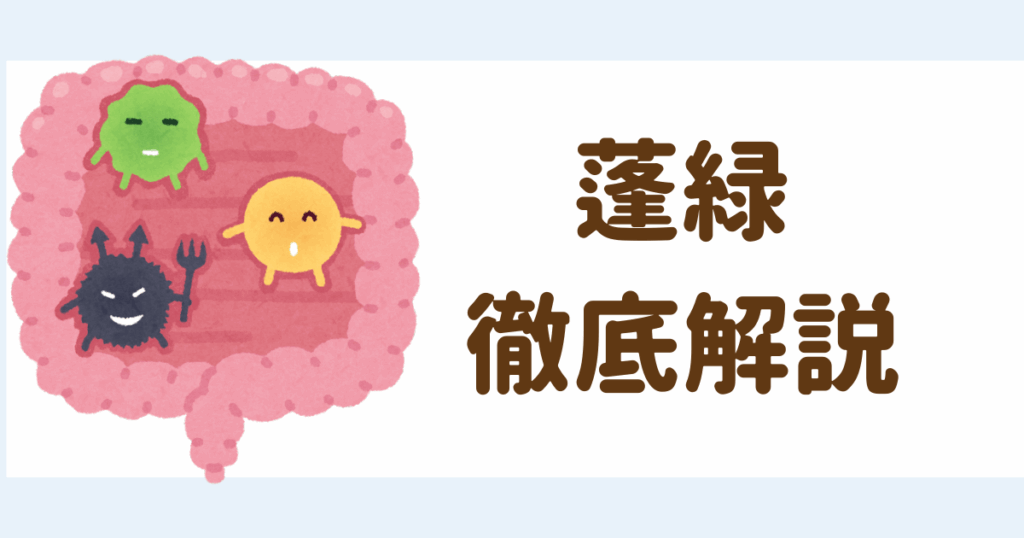 蓬緑